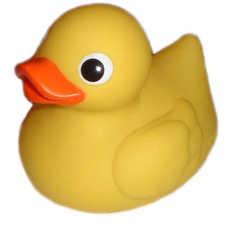 Rubber Duck